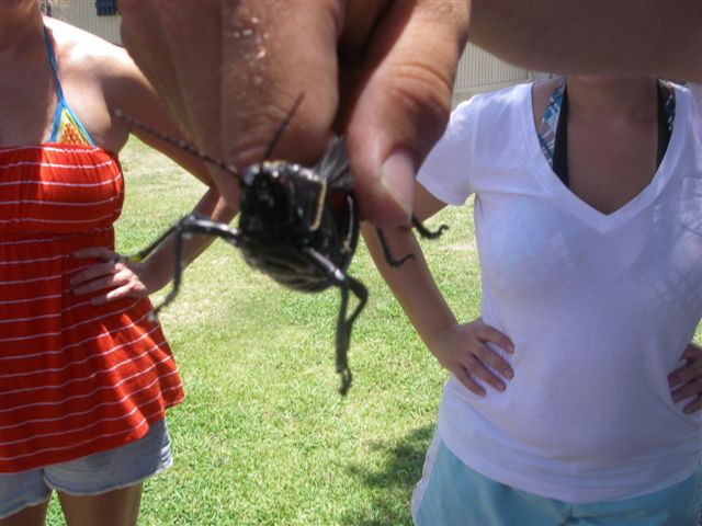 2009-06-11 MUDBUG 047