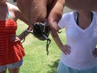 2009-06-11 MUDBUG 047