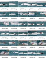 ContactSheet-007